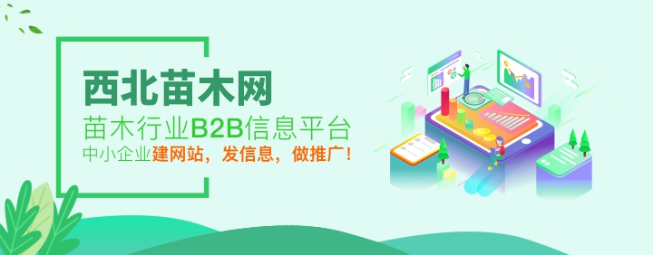 西北苗木網(wǎng)